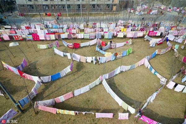 野山坡属于那个地区